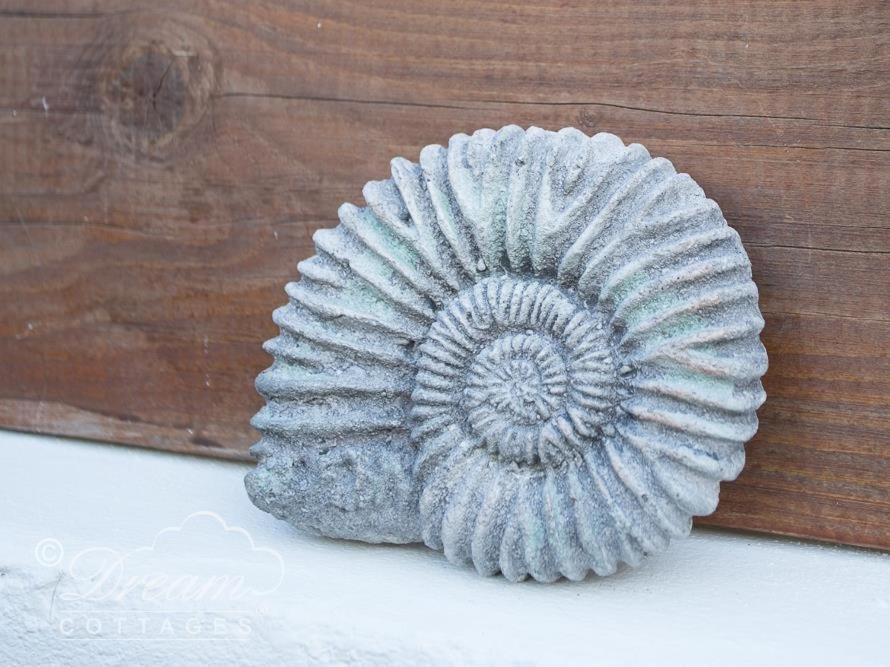 Ammonite Cottage Portland Exterior photo